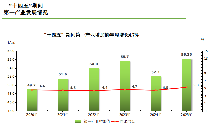 图片4 图片4