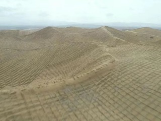 【祖国好 家乡美】沙漠披上绿色