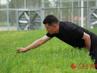 青海沙珠玉：精准治沙 复绿惠民