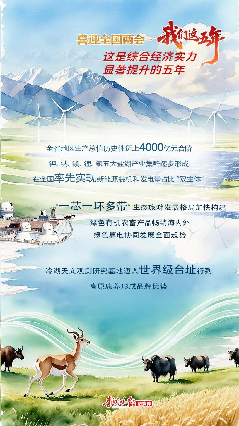 202603031131002