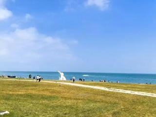 【新时代 新征程 新伟业】以青海湖国家公园建设为引擎 绘就生态保护新画卷