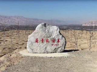 【苏青携手 共绘高原新图景】苏青携手种