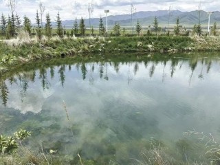 【守护绿色·生态海南】青海湖之南的绿色守望