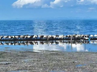 【祖国好 家乡美】海南州：绘就黄河流域生态新画卷