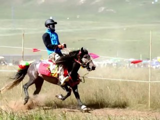 赛马盛会激活