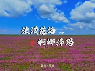 花海绮丽映贵南，藏绣曼舞庆文旅